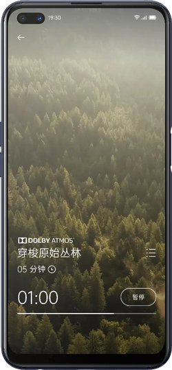 Oppo A92s 5G 2020 Premum Edition Dual SIM TD-LTE CN 256GB PDKM00